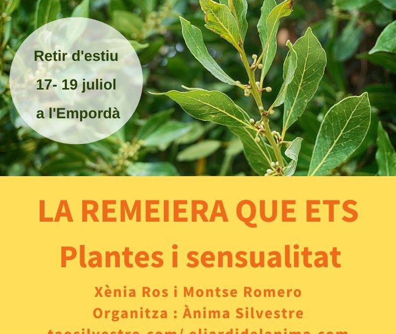 retir d’estiu la remeiera que ets, plantes i sensualitat